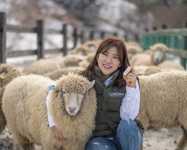 uLikeKorea Develops World’s First Bio-capsule for Sheep Health Management