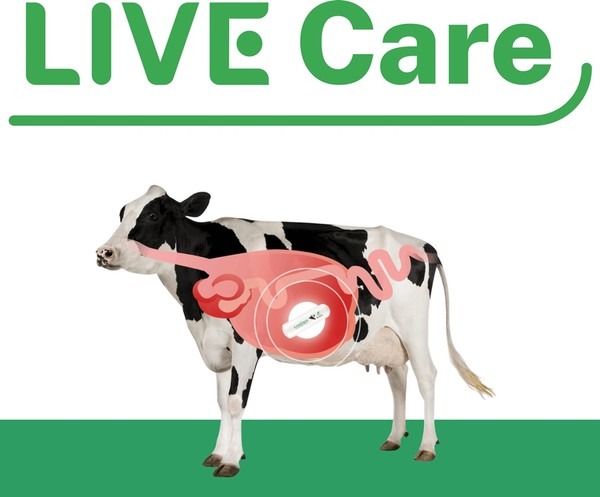 유라이크코리아, AI기반 가축 행동분석 시스템 기술로 미국 특허 획득